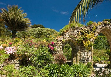 Tresco Abbey Gardens Tresco Abbey Gardens
