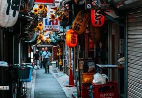 A Tapestry of Moments: Capturing the Heartbeat of Japan